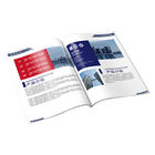 A4 210*297mm Brochure Printing Services , Custom Printing Services